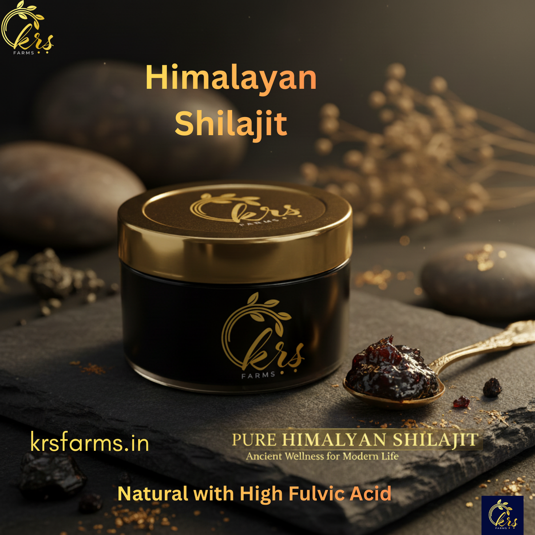 Himalayan Shilajit Benefits: Separating Myths, Facts & Real Science