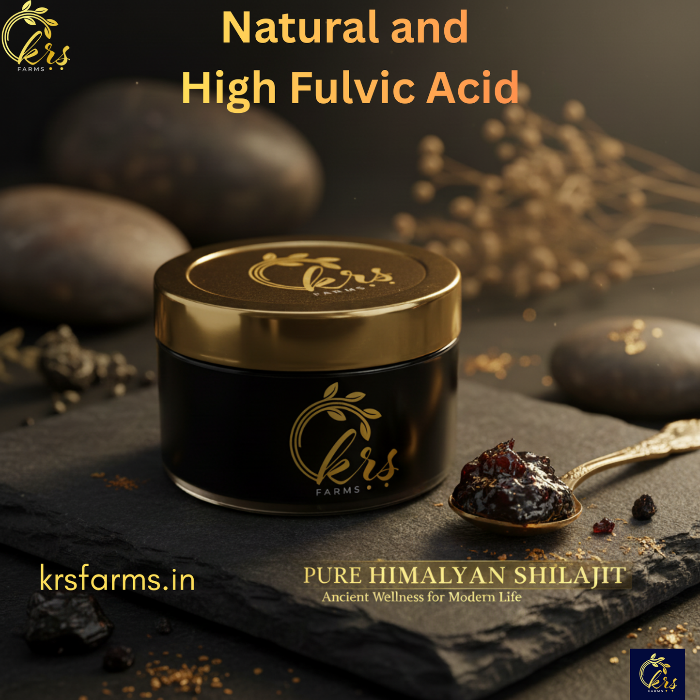 Himalayan Shilajit - 50 grams